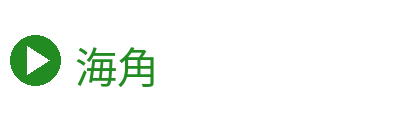 海角 Logo